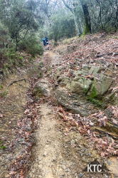 2025-03-20 Chianti Ultra Trail - IMG_6777